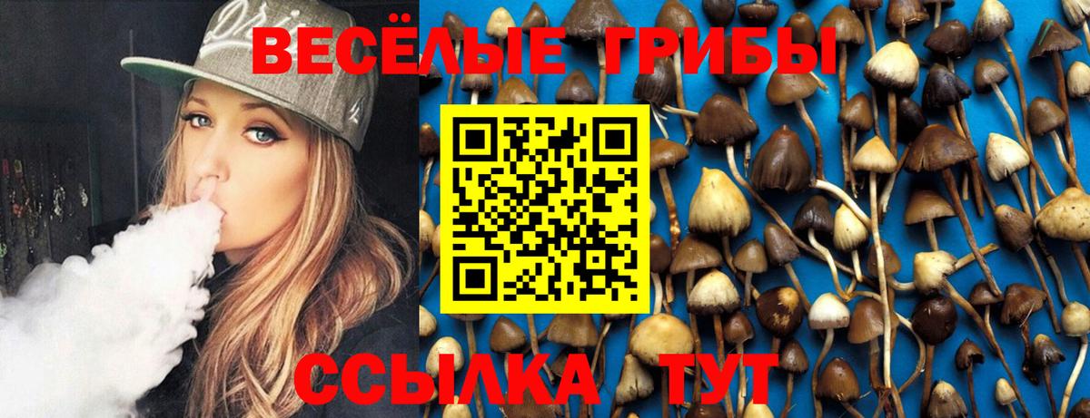 Миасс  сколько стоит  Галлюциногенные грибы Psilocybine cubensis  Вход с VPN  Галлюциногенные грибы Psilocybine cubensis 